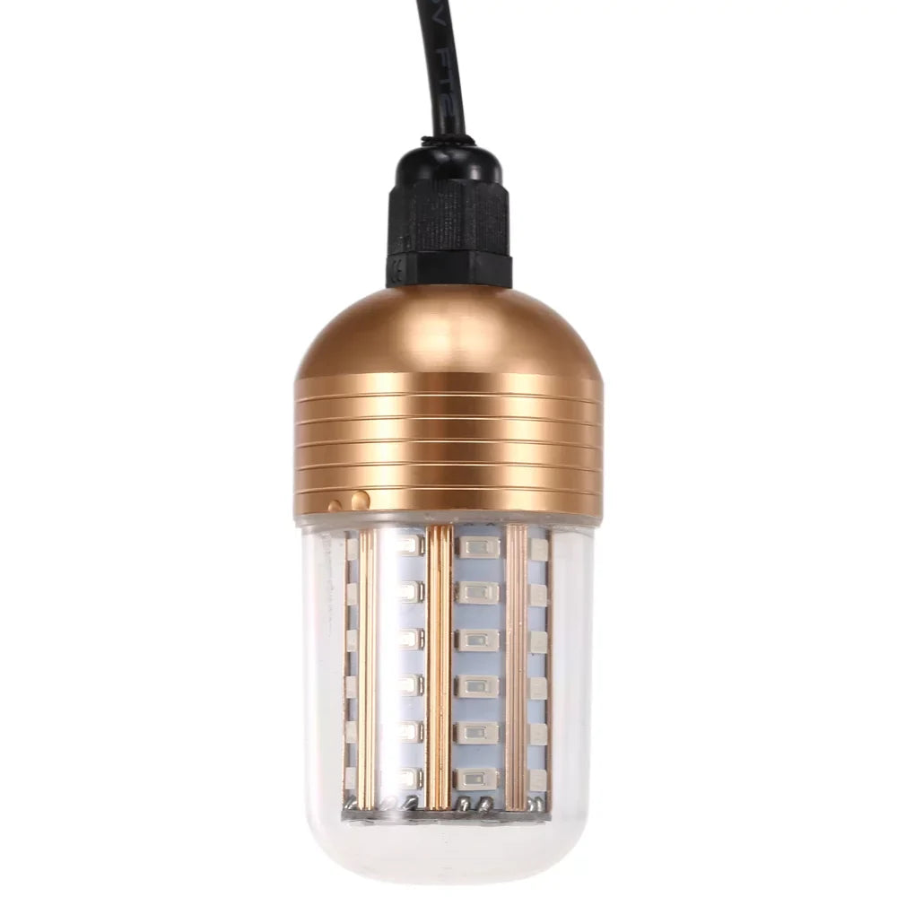with 30W -60V Finder Fish Submersible LEDs Squid Attracting 60 Underwater Night Carevas Bait Fish Lamp Fishing Cord