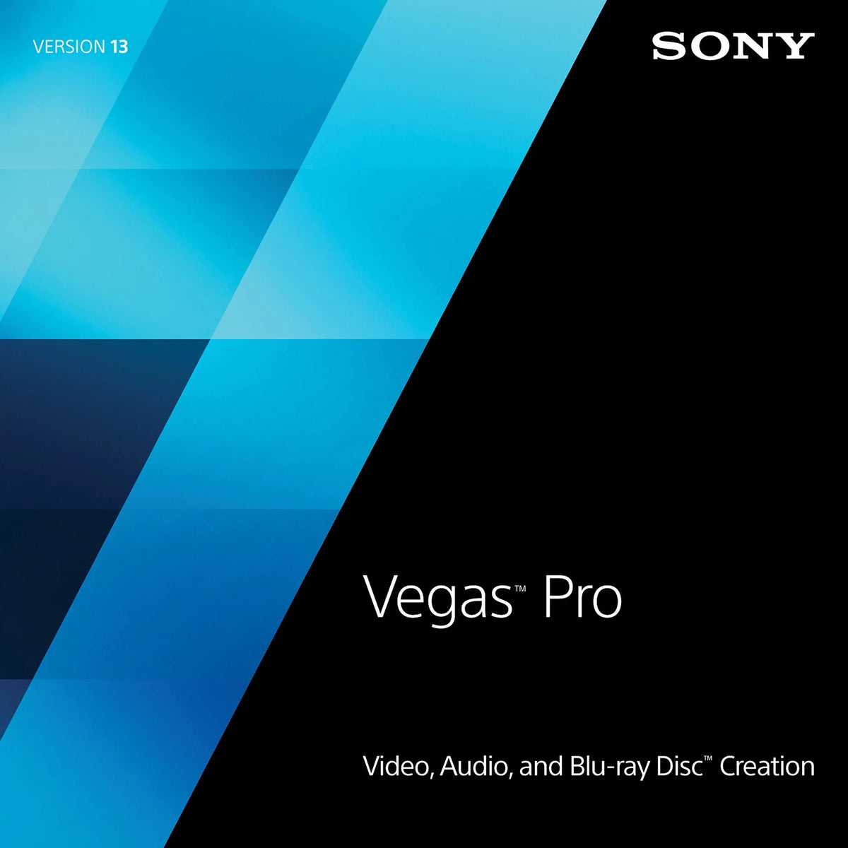 13 Code) Pro (PC)(Digital SVDVD13099ESD Vegas