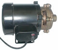 Dayton HP,115VAC Centrifugal 5PXX3 Marine Pump,1/8