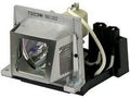 Genuine OEM Projector P8384-1001 Eiki Original Bulb with Housing