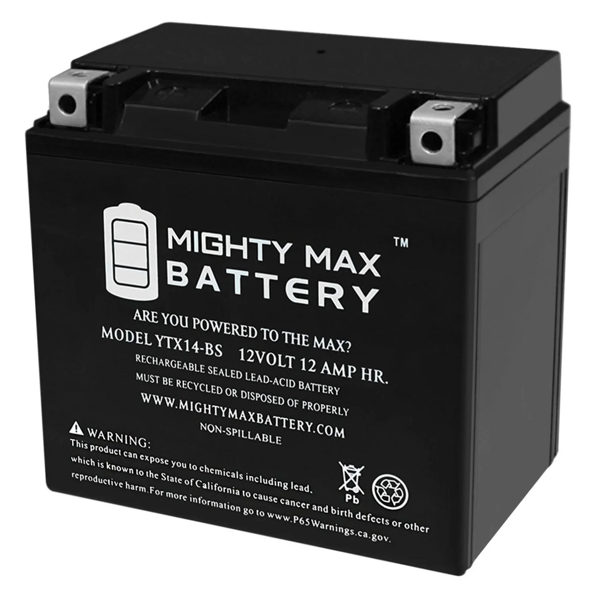 Foreman TRX HONDA for YTX14-BS Replacement 300 Battery Rancher Rubicon