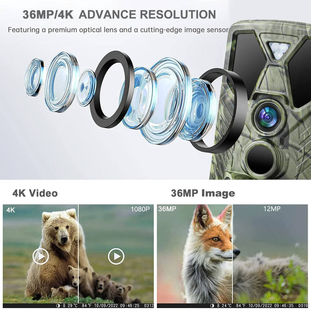 Waterproof TF 32GB Camera Monitors Trail Vision 36MP with Camera IR Trail Hunting LED Card 4K Trail Night Wildgame Wildlife SuntekCam Hunting with HC-812A Monitor
