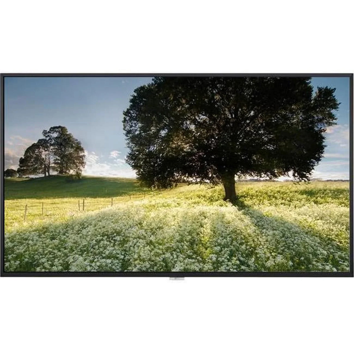 24 - - in. - 3 & TAA, LED DVI 65 x 3840 x HDMI 2160 DP Speaker 7 Year Monitor LCD Landscape Portrait