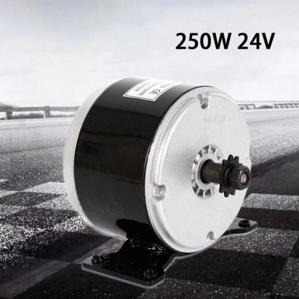 Electric for Scooter Brush Motor Permanent DC 24V Magnet Brush Motor Bike 250W
