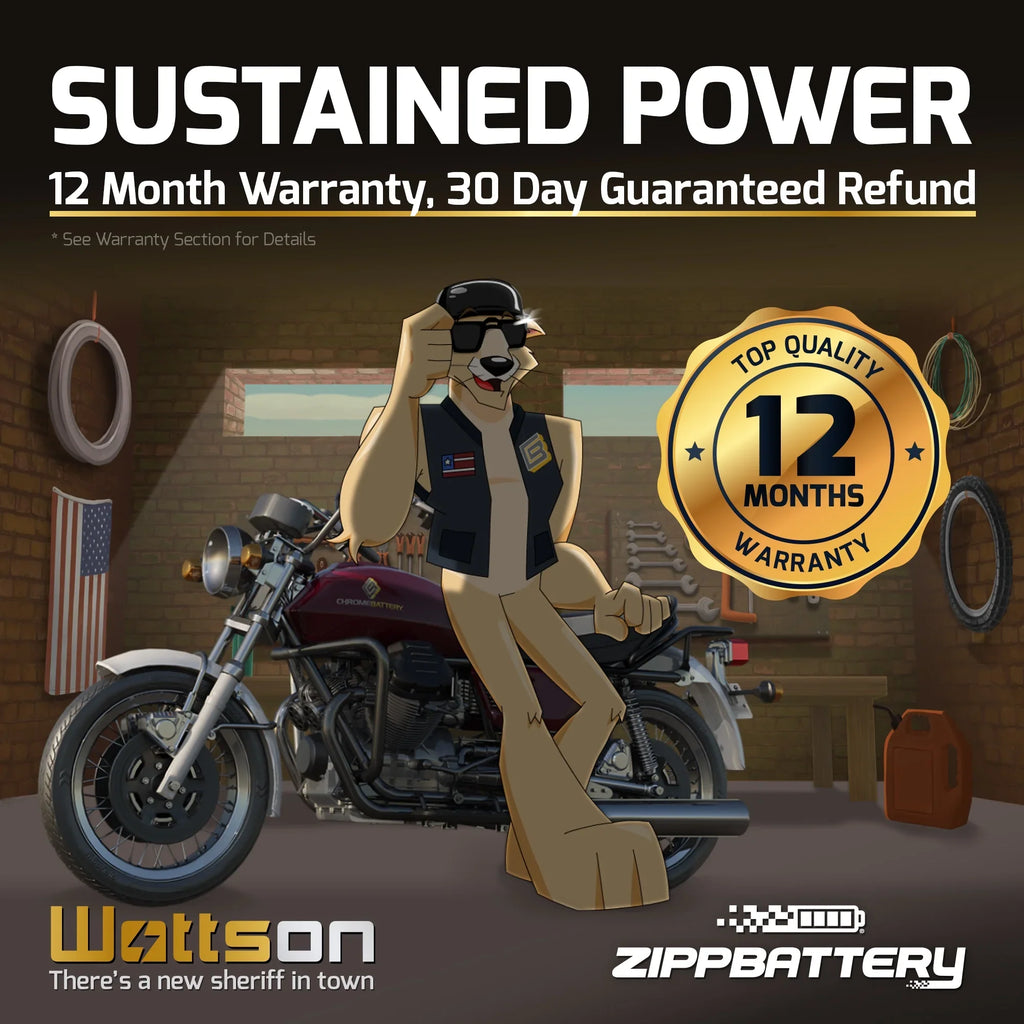 YTX14AHL-BS Gsx-r1100 Zipp 210 for Suzuki Battery Volt,12 1100cc 1990 Ah, (14AHL-BS Battery 12 CCA) Motorcycle