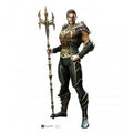 Cardboard Injustice Aquaman Game Cutout -