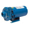Goulds 1-1/4" Bronze 2BF11012, Discharge, Volts, HP, 3500 Phase, Pump, Fitted 115/230 NPT 1 Series Centrifugal RPM, 3642, 1