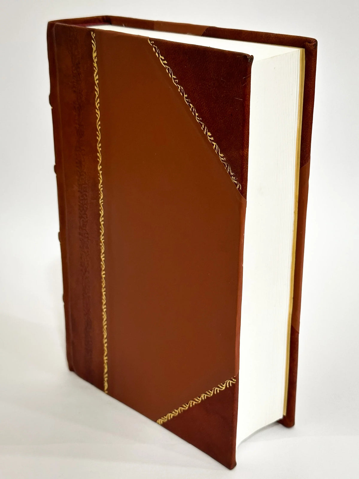 Rivers, The Volume [Leather Lakes, Picturesque CanOns, and 1 Pen Cities, of the Live Or, We (1872) Water-Falls, Mountains, a Bound] Land Pencil Shores, Delineation : America; Forests, by Valleys, in