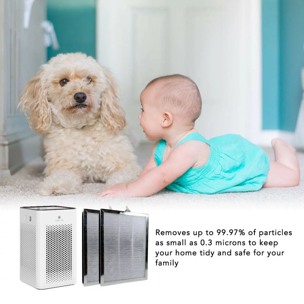 Clean Replacement (2 Dust, MA-25 Air Out Filter Dirt, Medify MaximalPower Debris, Pack the True Smoke, HEPA in Odor Grime, Pack) for 2 Air