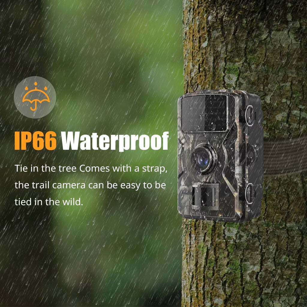 Farm, 2.4'' TFT IP66 Game Vision, 1080P Color and Dadypet Display Detection, Use for Camera Trail Home Waterproof, and Night IR with Wildlife, Motion
