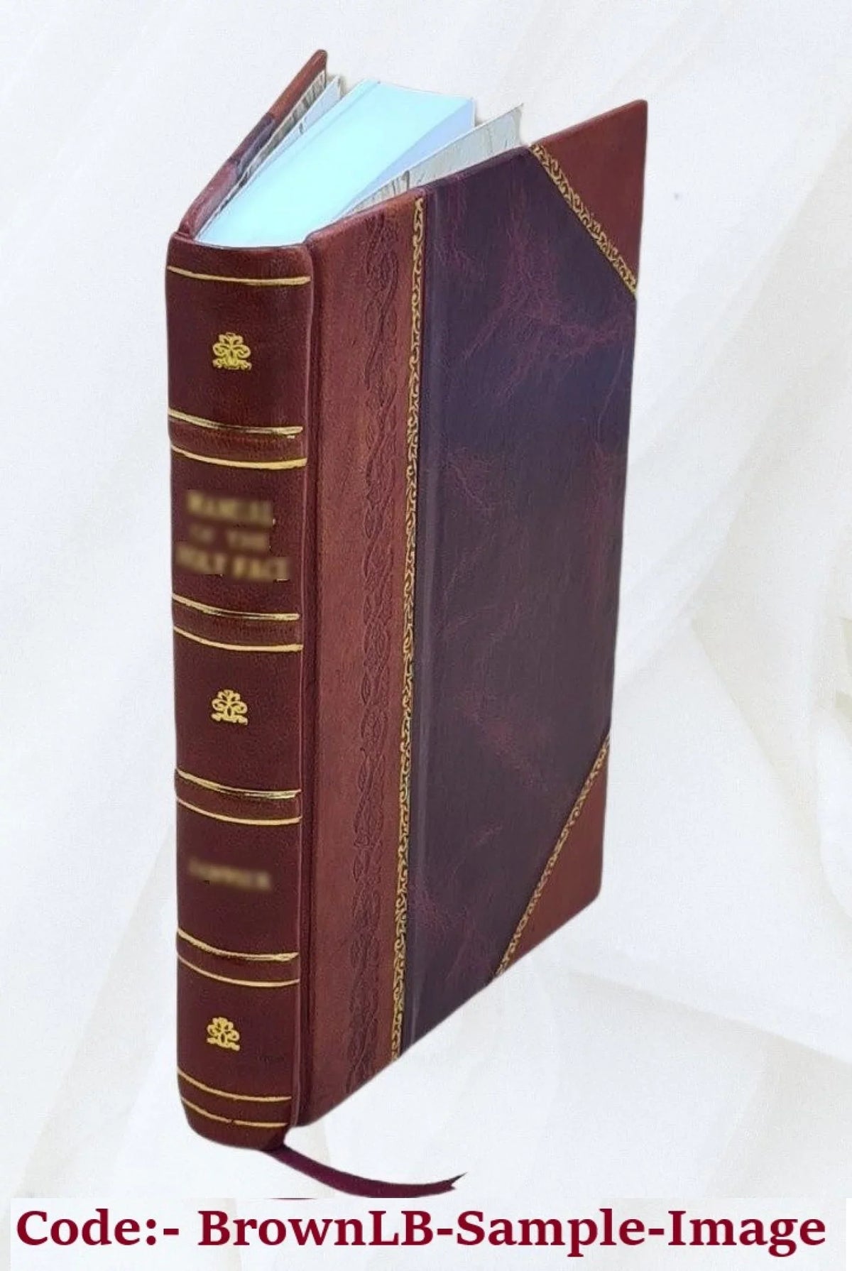 marls of the / P. Lamellibranchiata Brachiopoda Raritan New greensand and Jersey by Bound] [Leather of 1885 clays Robert and Whitfield.