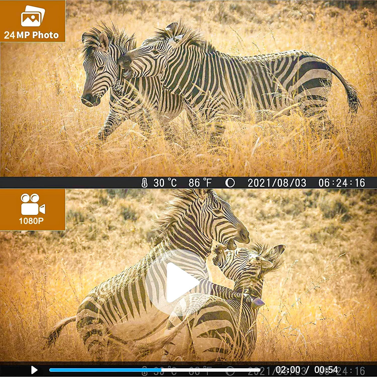 Waterproof TF 32GB Camera Monitors Trail Vision 36MP with Camera IR Trail Hunting LED Card 4K Trail Night Wildgame Wildlife SuntekCam Hunting with HC-812A Monitor