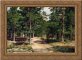 Framed The Sestroretsk Canvas Shishkin by Wood Art Ornate Gold 24x18 Bor Ivan
