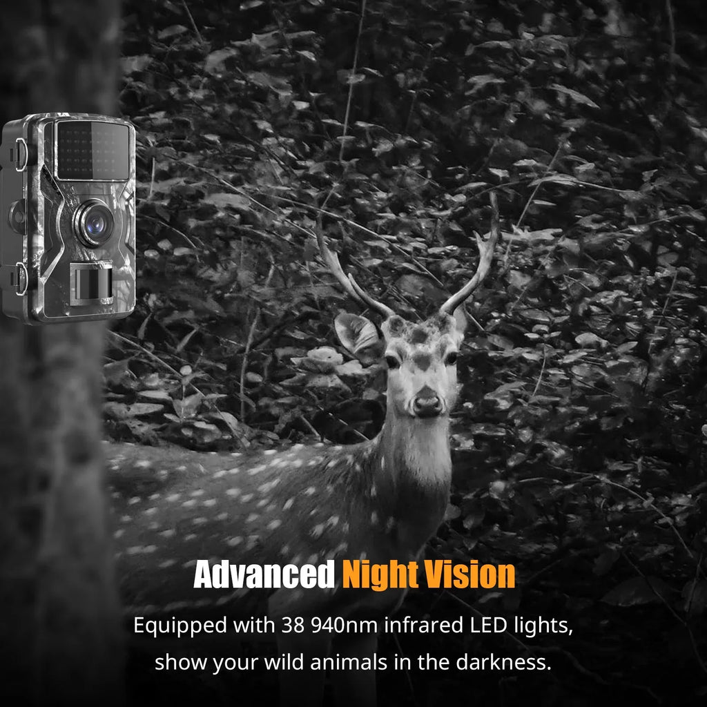 Farm, 2.4'' TFT IP66 Game Vision, 1080P Color and Dadypet Display Detection, Use for Camera Trail Home Waterproof, and Night IR with Wildlife, Motion