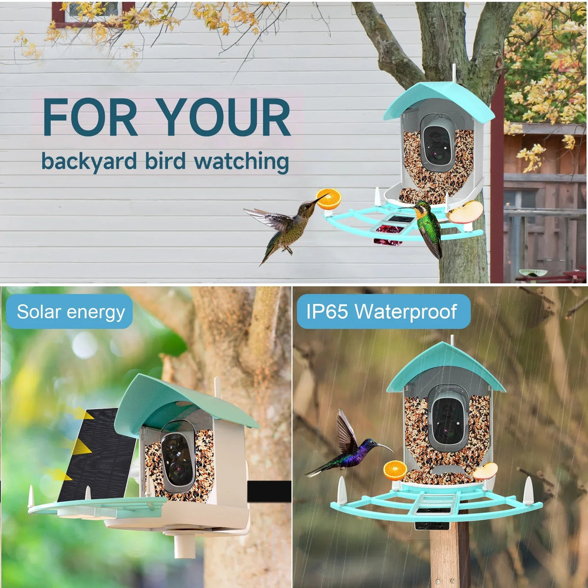 Camera Powered With camera,Feeder Andoer Camera Feeder Solar With Feeder Ai Camera CameraVideo Smart Vico Surveillance Camera Wireless Wifi Pir Ai 1080p Species AppAi Deterrent Squirrel