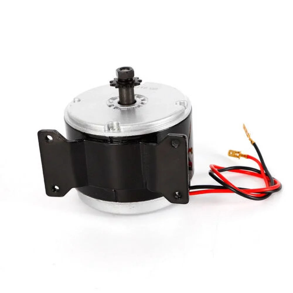 Electric for Scooter Brush Motor Permanent DC 24V Magnet Brush Motor Bike 250W