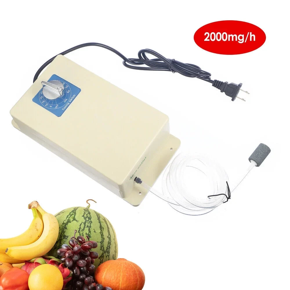 2000mg/h and for Home Ozone Food Sterilization Purifier Ozone - Generator JahyShow Water