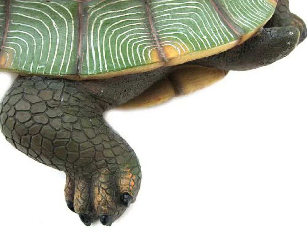 Label Pool Garden Riding Gnome Patio Large Turtle Statue Private