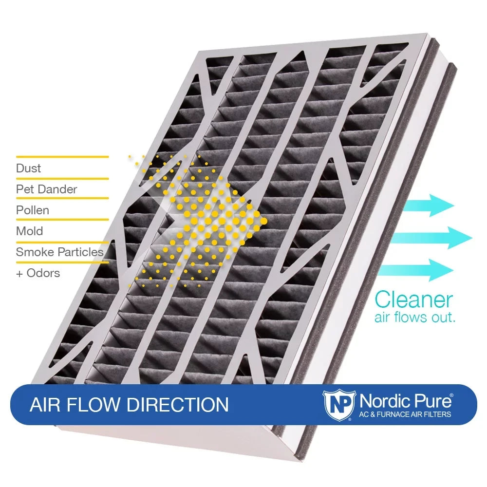 Bear Replacement Air Filter Plus 10 3 Air Pack Pleated Carbon Cub MERV 16x25x3