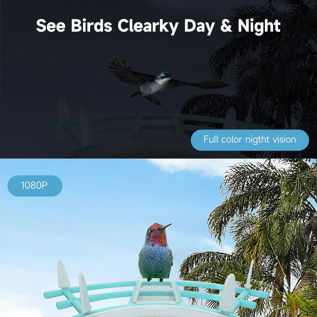 Camera Powered With camera,Feeder Andoer Camera Feeder Solar With Feeder Ai Camera CameraVideo Smart Vico Surveillance Camera Wireless Wifi Pir Ai 1080p Species AppAi Deterrent Squirrel