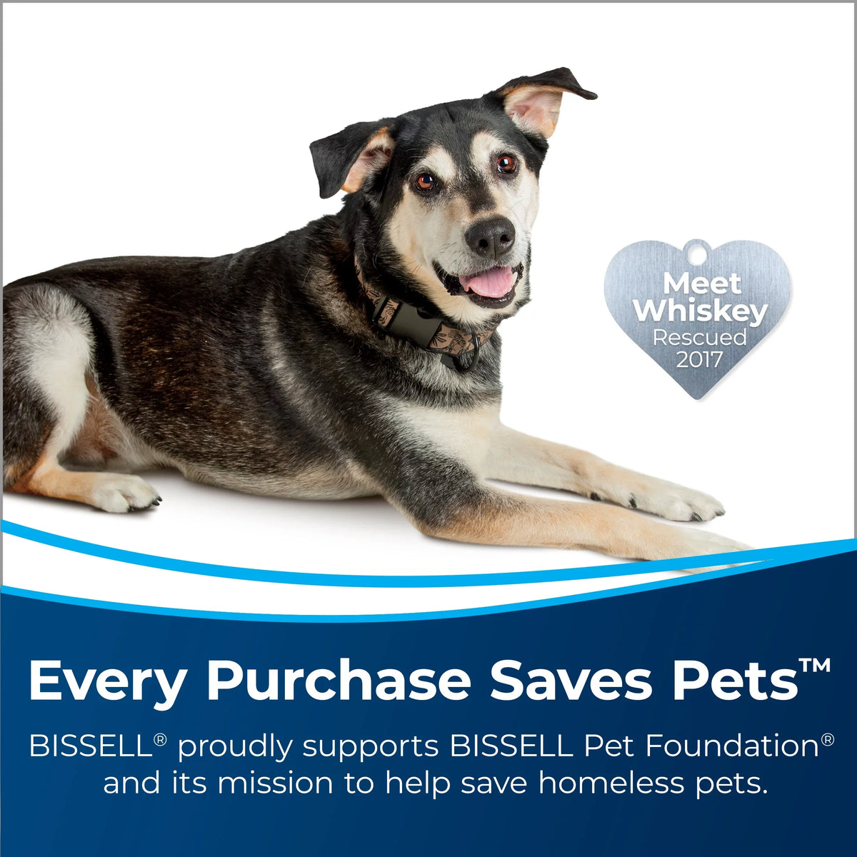Force Carpet Pet Washer Power Power - Lightweight Brush 2910