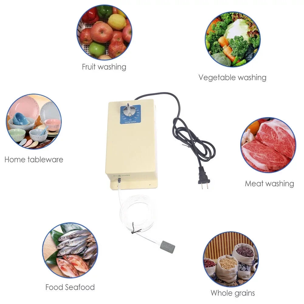 2000mg/h and for Home Ozone Food Sterilization Purifier Ozone - Generator JahyShow Water