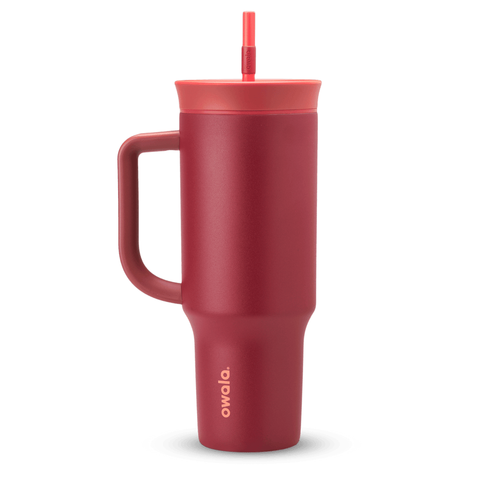 2-in-1 Bottle Brush - Second Set 01