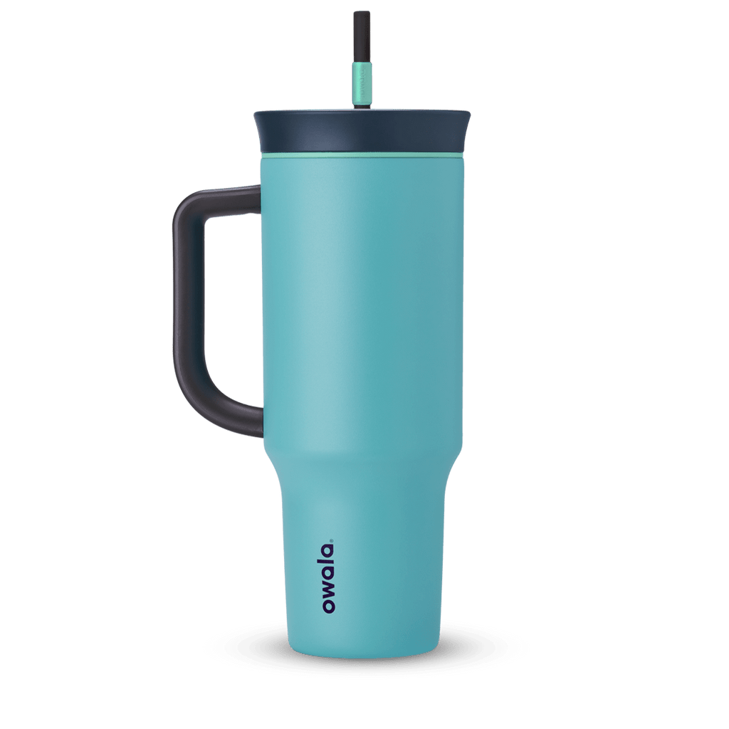 2-in-1 Bottle Brush